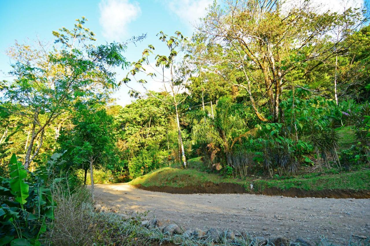 Aves De Tierras Altas Villa Bijagua Exterior photo