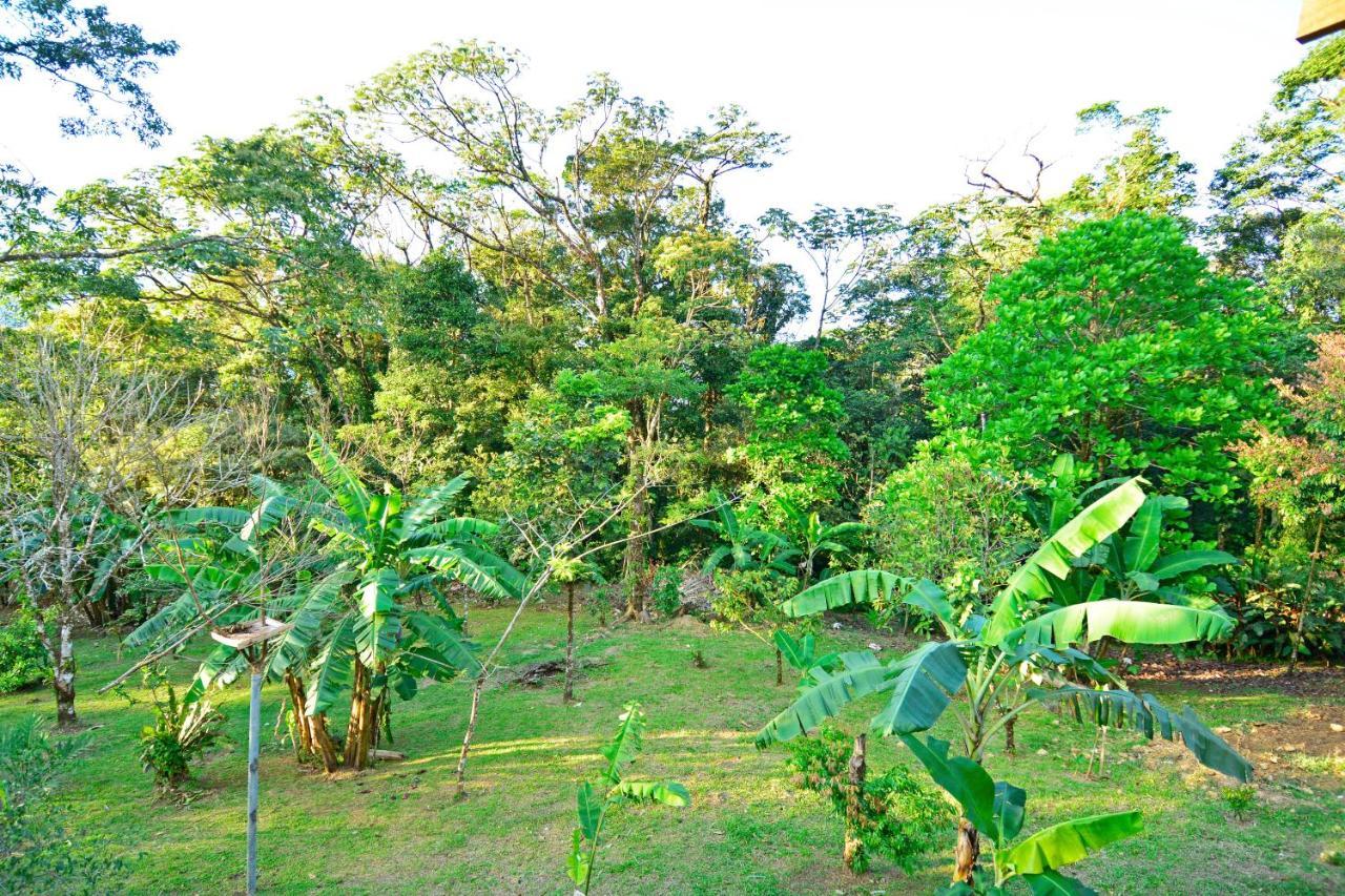 Aves De Tierras Altas Villa Bijagua Exterior photo